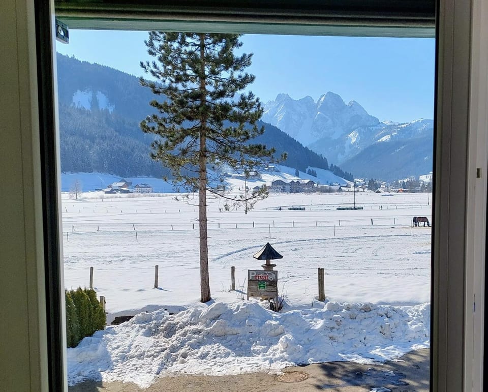 Natural landscape, Winter, View (from property/room), Mountain view