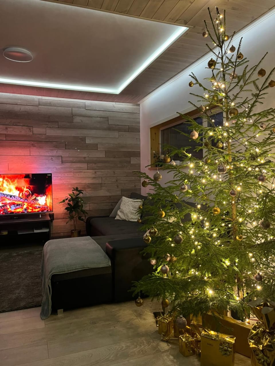 Luguse Älfi Maja House in Estonia