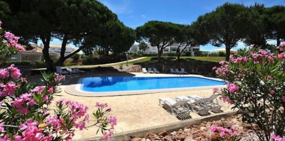 Spring, Day, Natural landscape, Garden, Garden view, Pool view, Swimming pool, sunbed