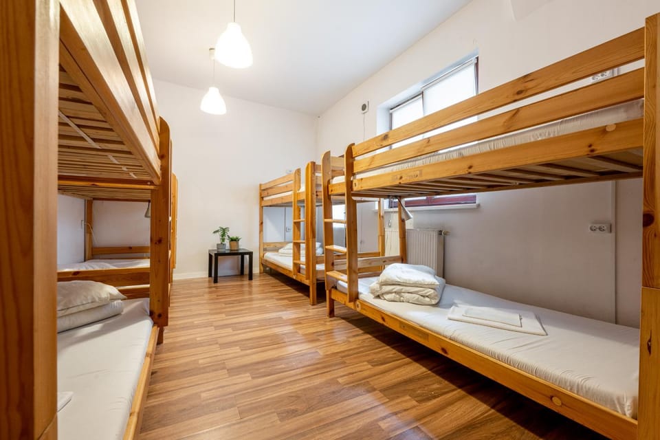 Bed, Photo of the whole room, Bedroom, bunk bed