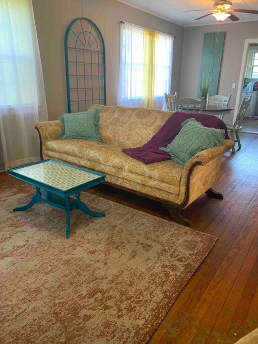 The Jungalow Apartment in Mississippi