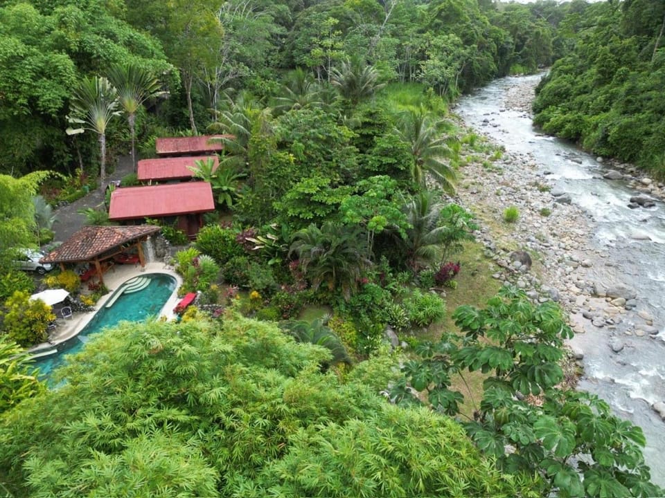 Garden, River view