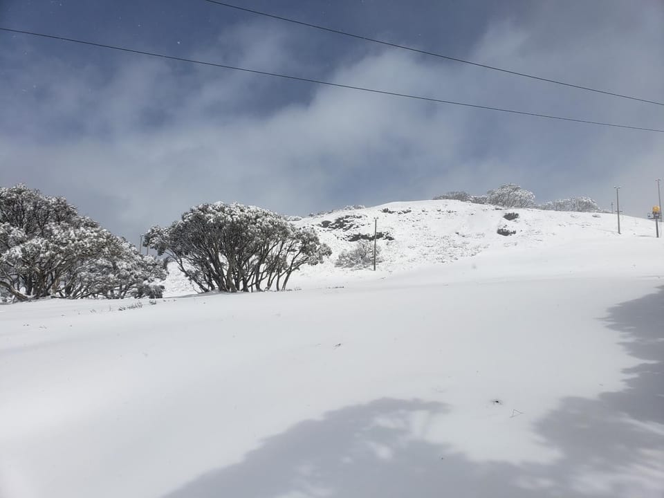 Winter
