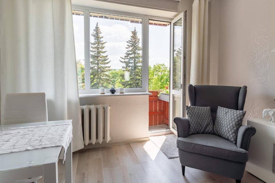 Balcony/Terrace, Living room, internet