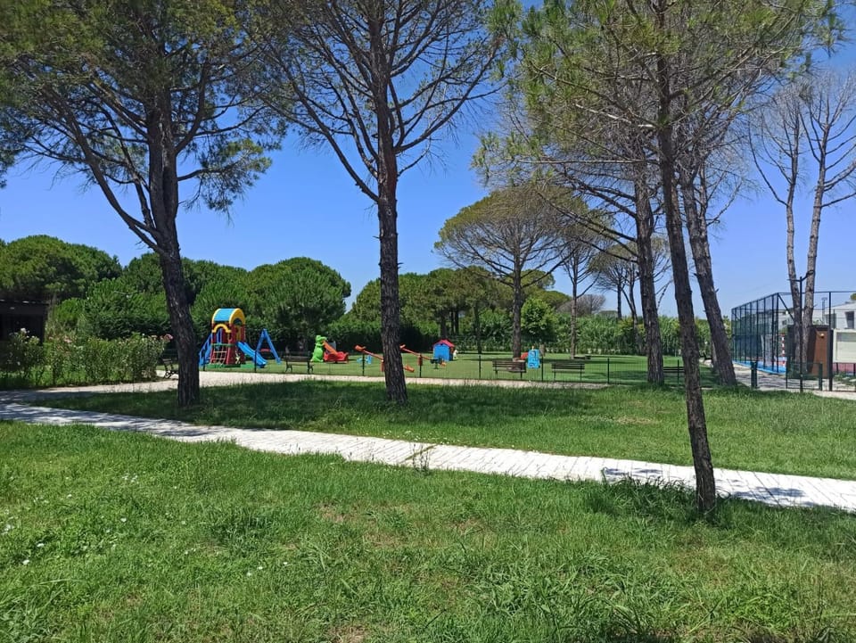 Children play ground