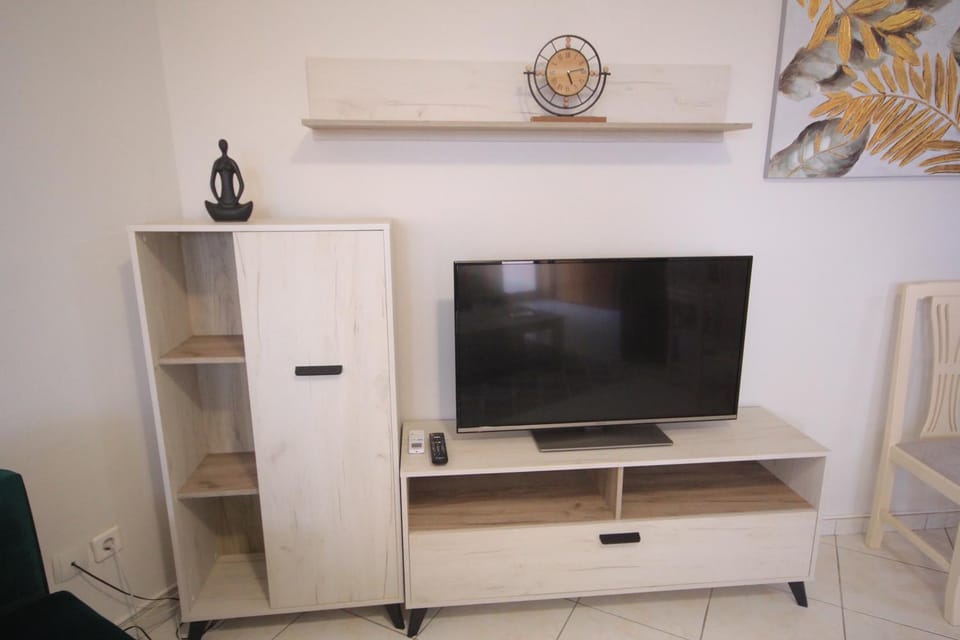 TV and multimedia