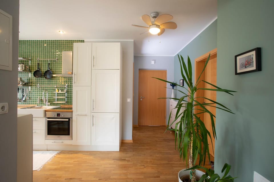 Living room, kitchen
