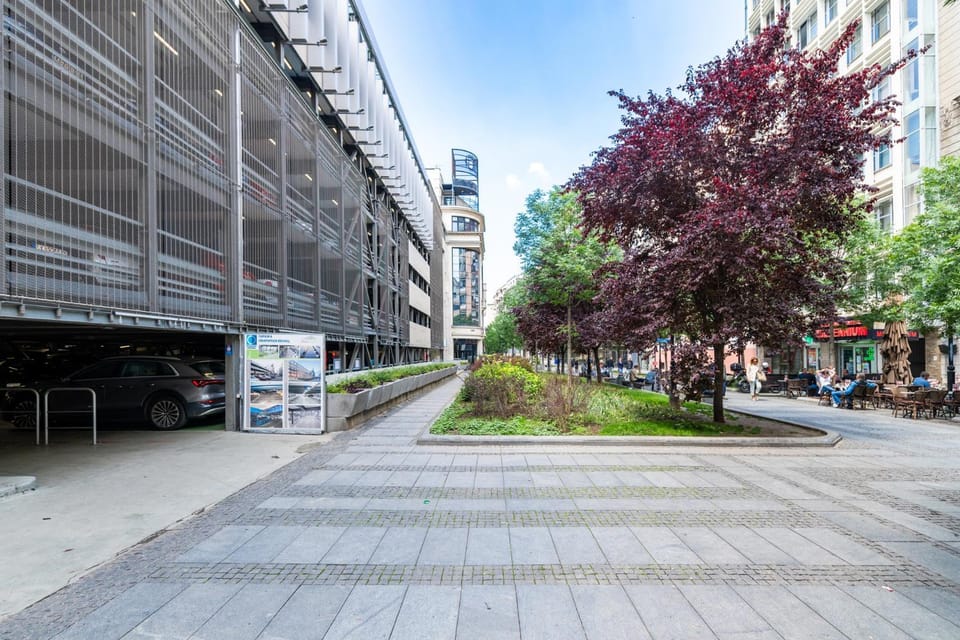 Spring, Neighbourhood, Street view, Location
