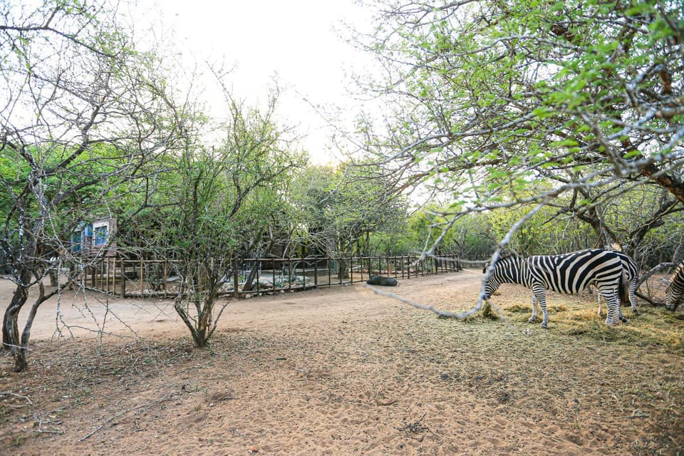 SouthernCross@Kruger House in South Africa