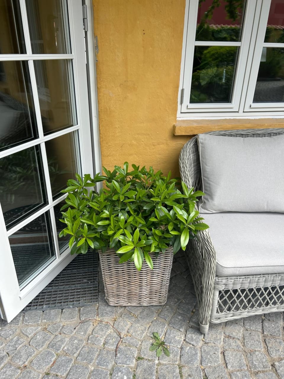 Vidunderligt hus med gårdhave - midt i centrum Brettevillesgade 16 A Apartment in Aalborg