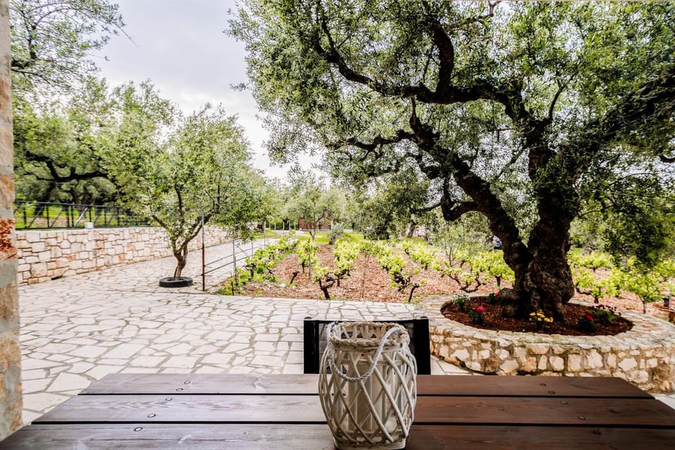 Tsantri Olive Grove residence House in Zakynthos, Greece