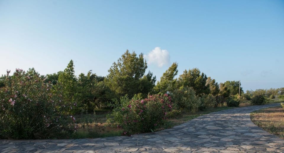 Kouremenos Beach House West Apartment in Lasithi