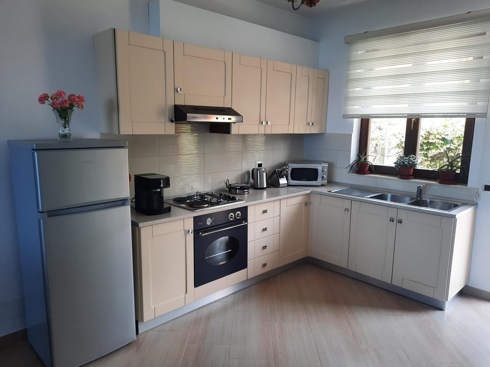 Kitchen or kitchenette, kitchen