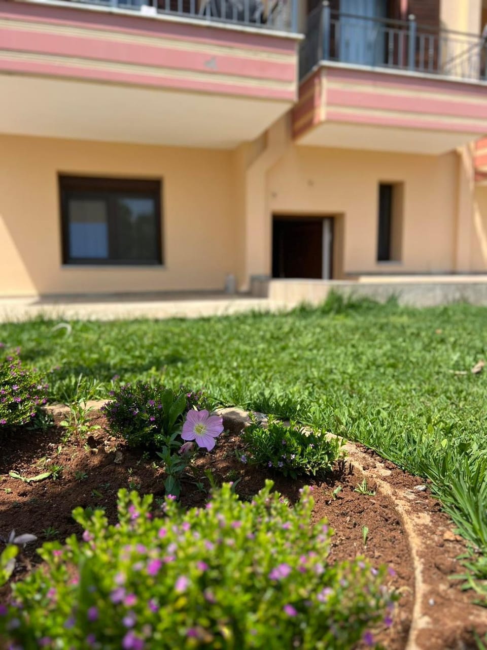 Day, Garden