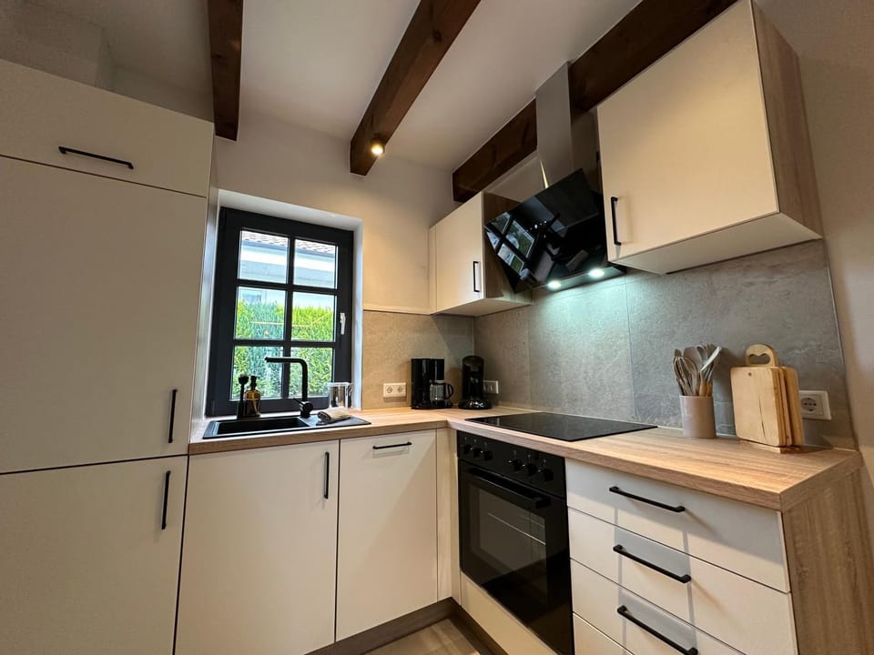 Kitchen or kitchenette, dishwasher, minibar, pet friendly, stove, toaster