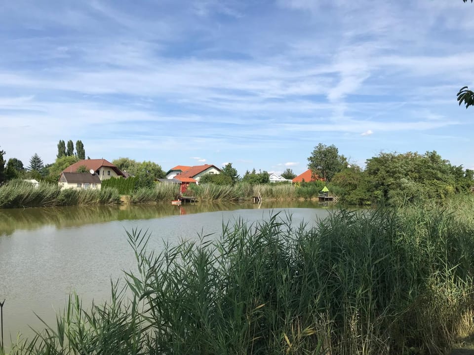 Lake view