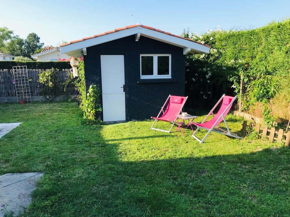 Garden, Garden view, sunbed