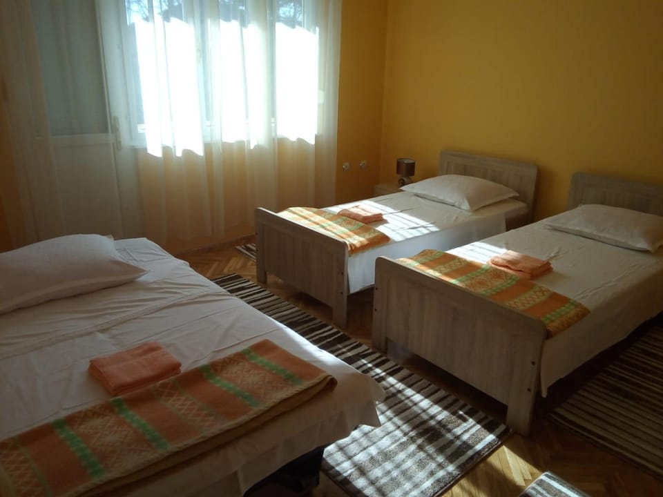Apartment Singa Apartment in Zadar