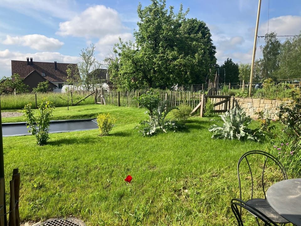 Spring, Day, Natural landscape, Garden, View (from property/room), Garden view, Area and facilities