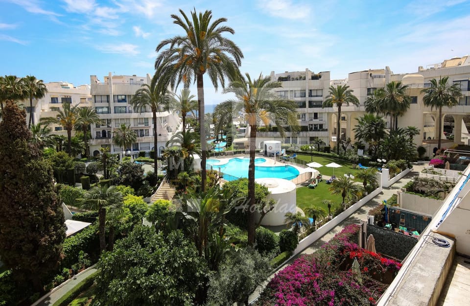 Garden, Pool view, Swimming pool, sunbed