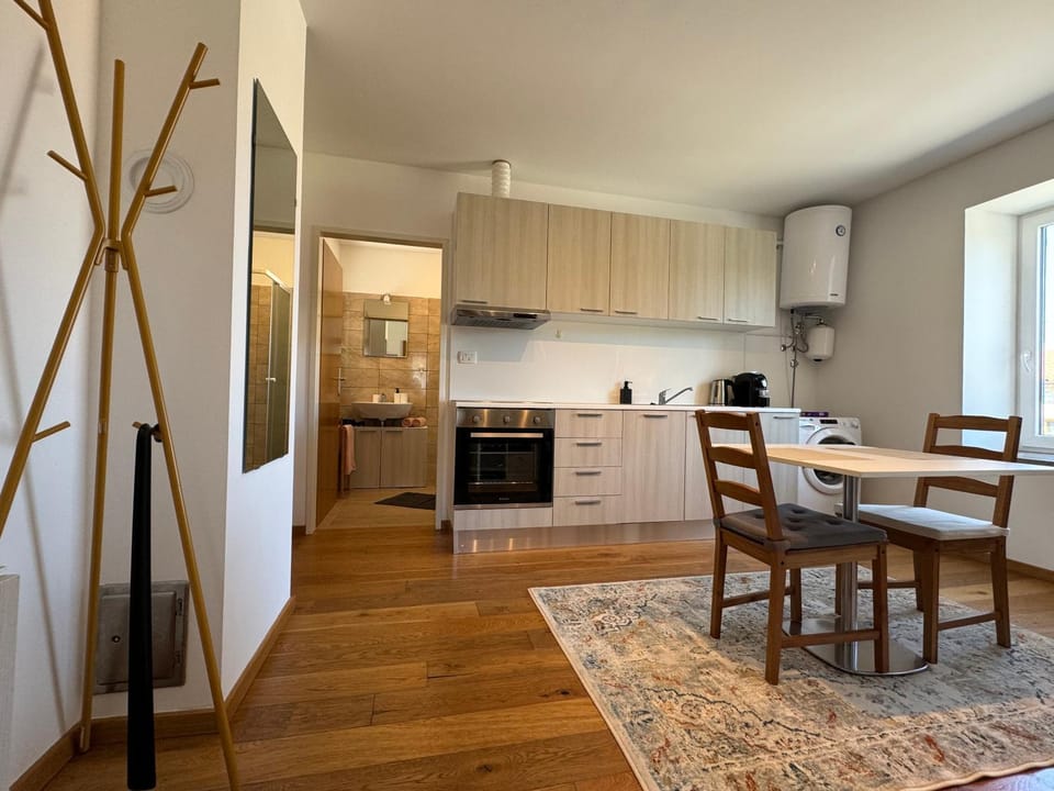 Santomas apartments Apartment in Istria County