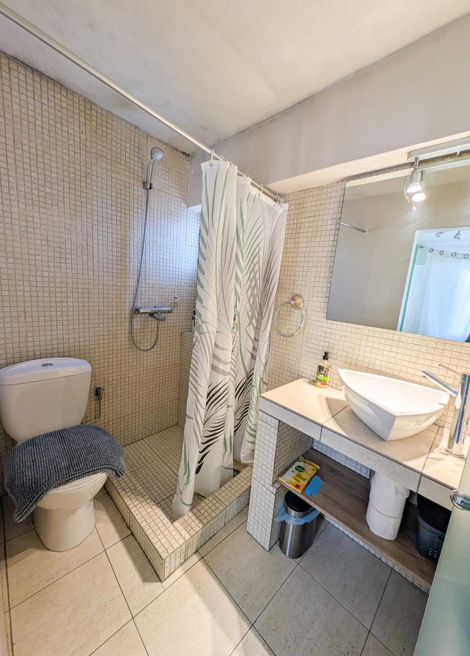 Shower, Toilet, Bathroom
