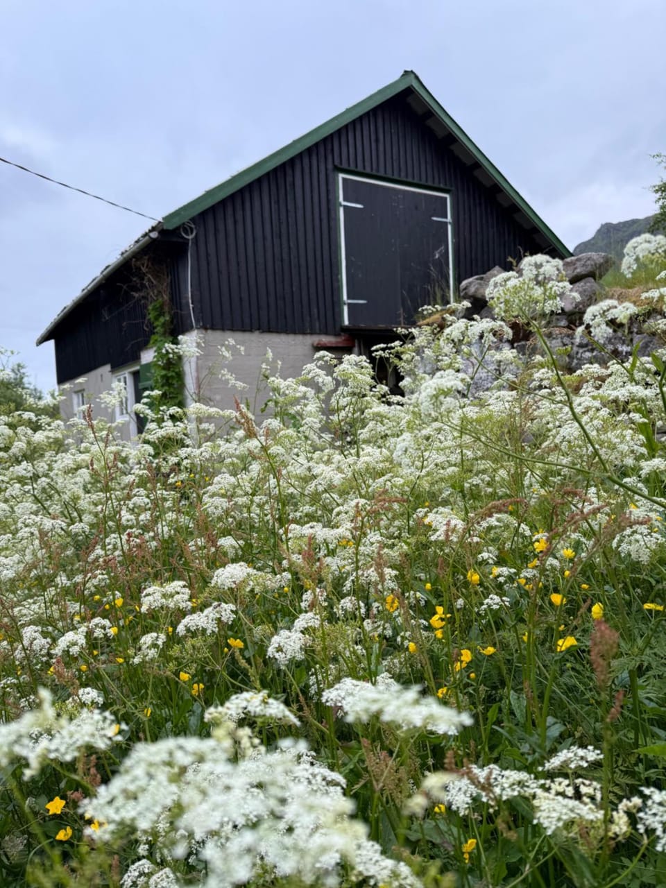 Valberg Gjestegård Bed and Breakfast in Lofoten