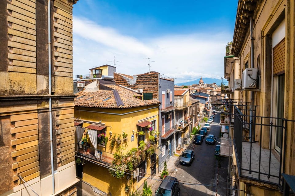 Neighbourhood, City view, Mountain view, Street view