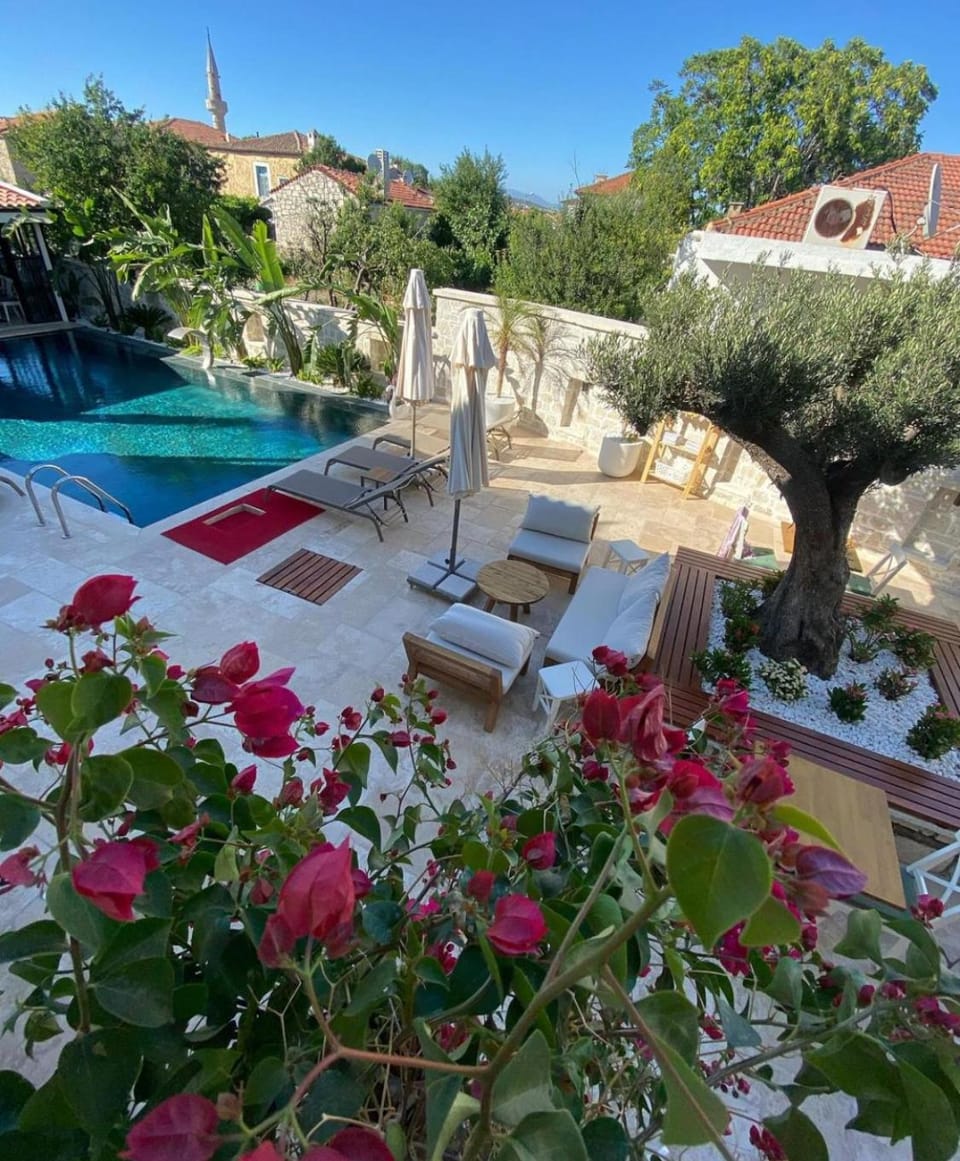 Day, Garden, Garden, Garden view, Pool view, Swimming pool, sunbed