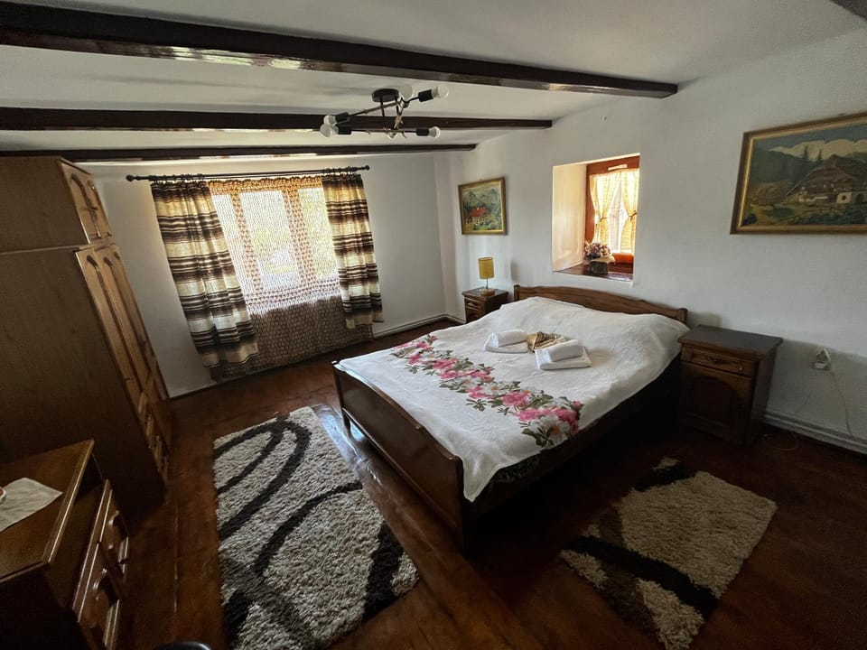 Casa Ariana Country House in Romania