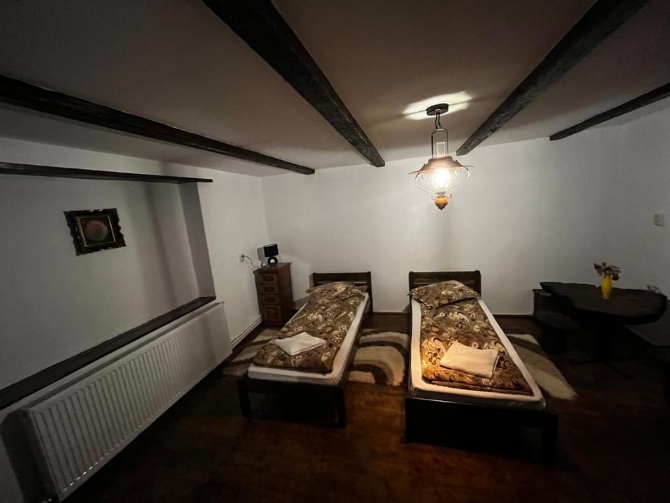 Casa Ariana Country House in Romania