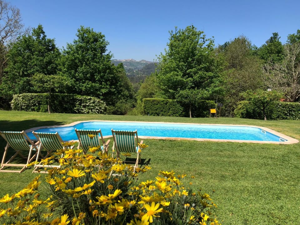 Summer, Garden, Swimming pool