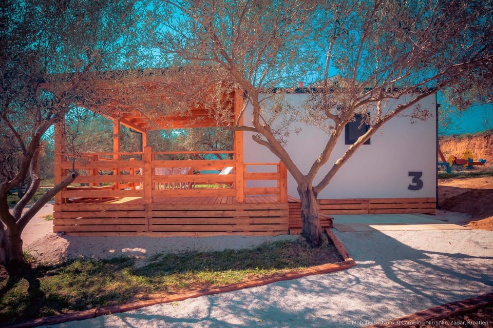 Property building, Day, Garden