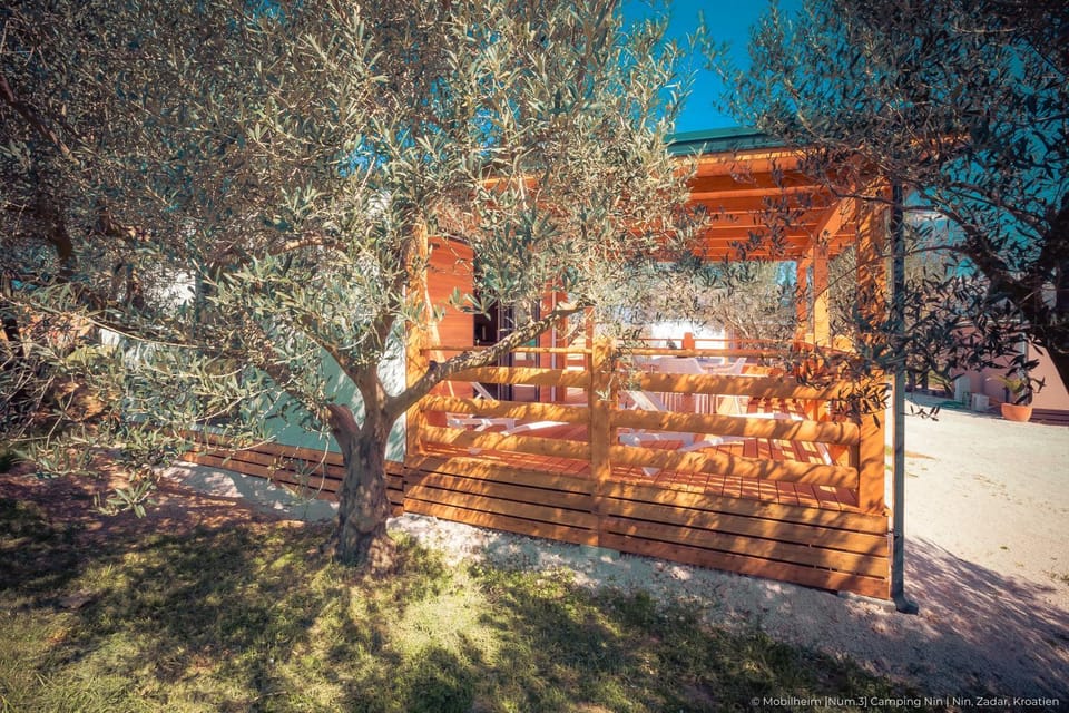 Day, Garden, Garden view
