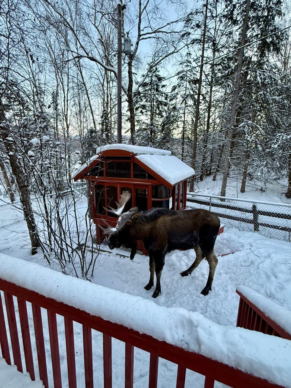 Hot Tub Stunning Mountain Views 2 kitchens 4 bedroom 2 bathroom House in Anchorage