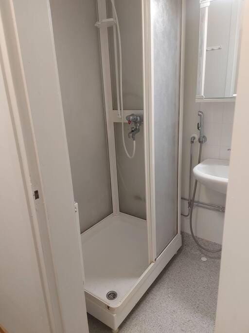 Viihtyisä yksiö keskustan lähettyvillä Apartment in Finland