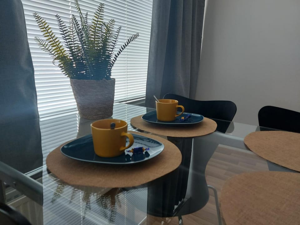 Viihtyisä yksiö keskustan lähettyvillä Apartment in Finland