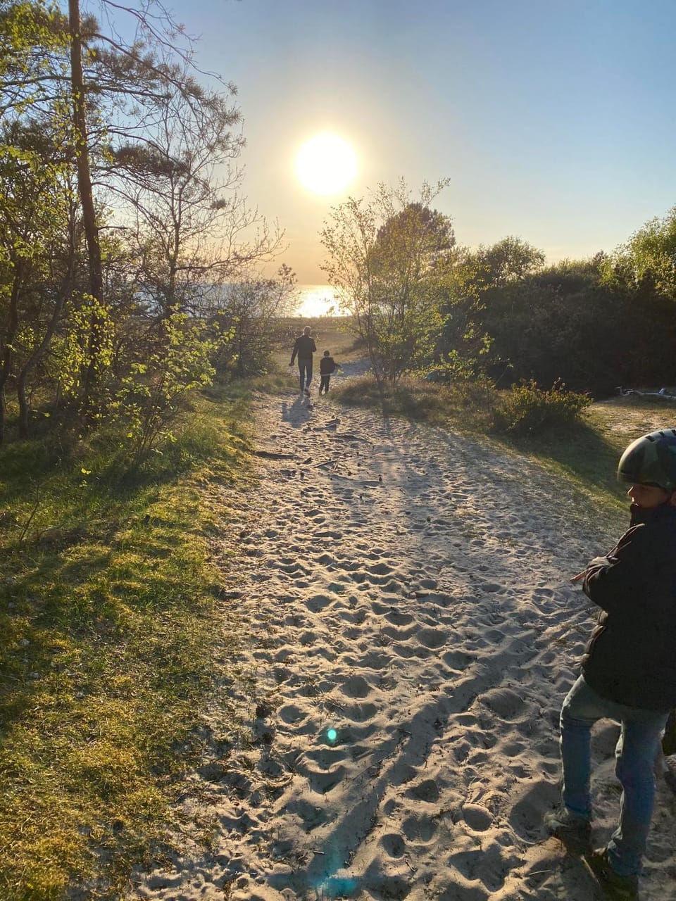 Natural landscape, Beach, Sunset
