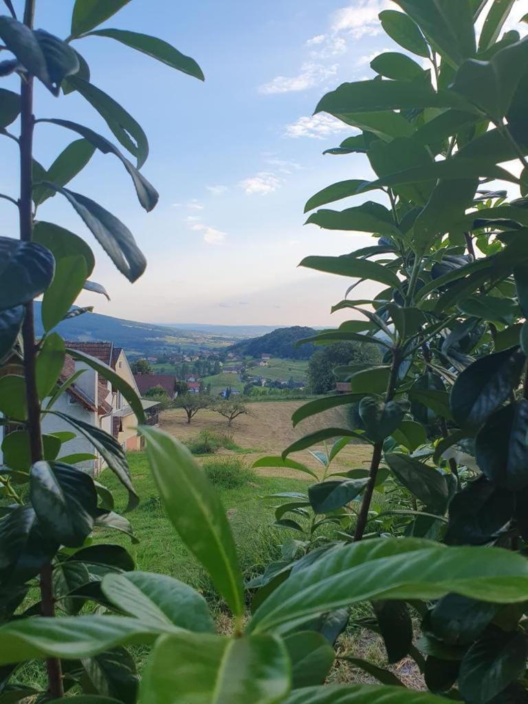 Day, Natural landscape