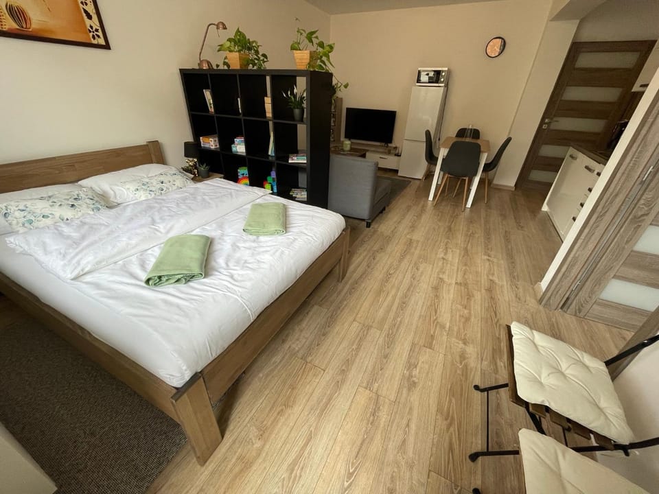 Bed, TV and multimedia, Living room, Photo of the whole room, Seating area, Bedroom