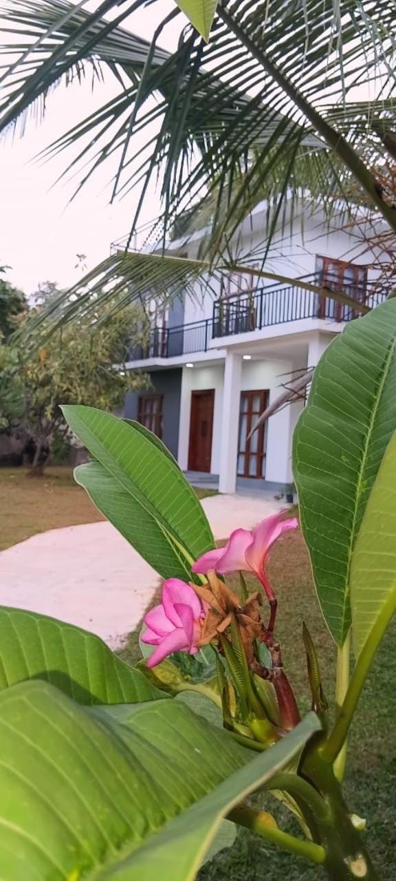 Property building, Garden, Garden view