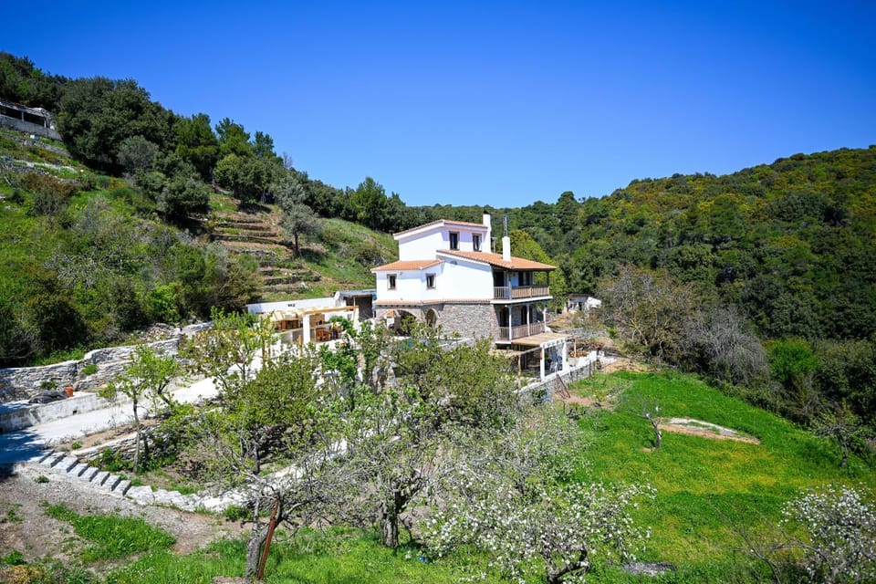 Villa Krio Pigadi Villa in Sporades, Greece