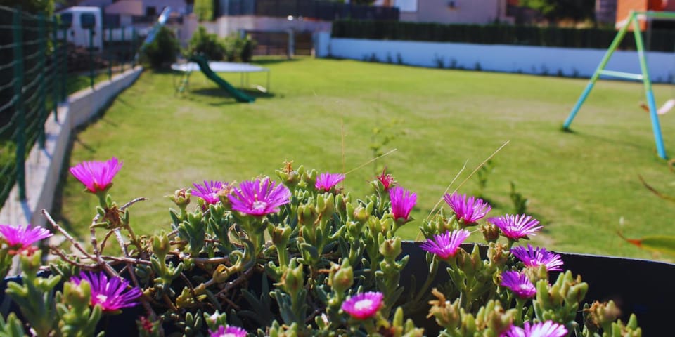 Natural landscape, Garden, Garden view