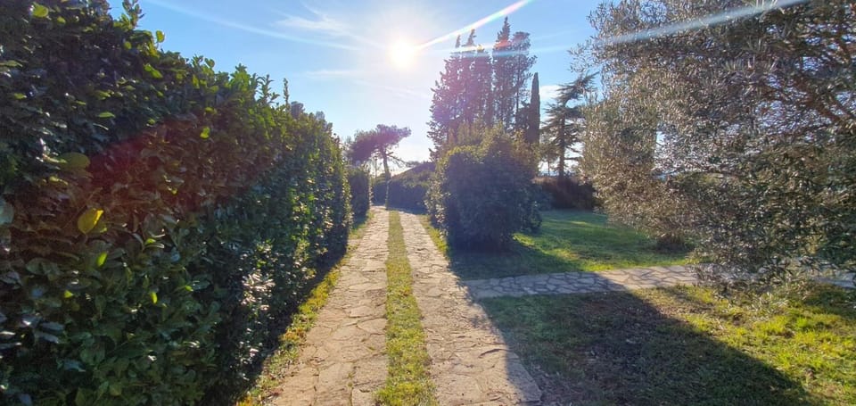 Day, Garden