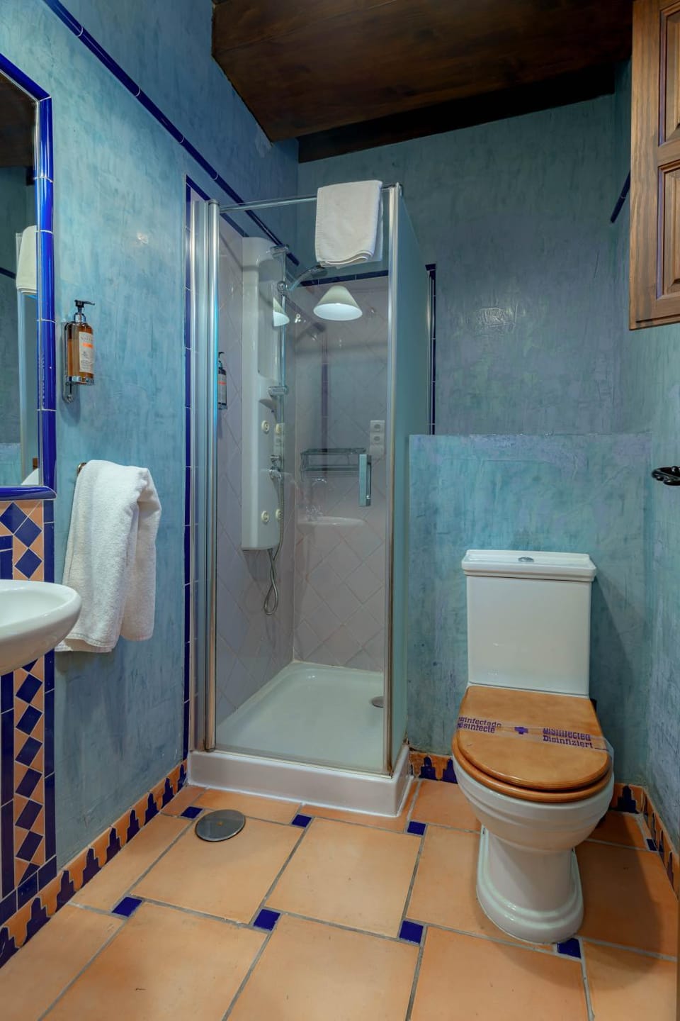 Shower, towels