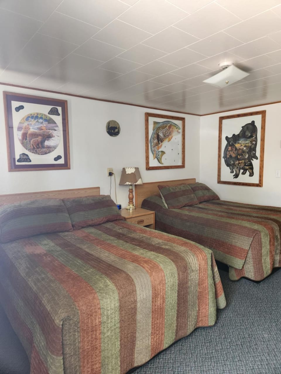 Antler Motel Motel in Wyoming