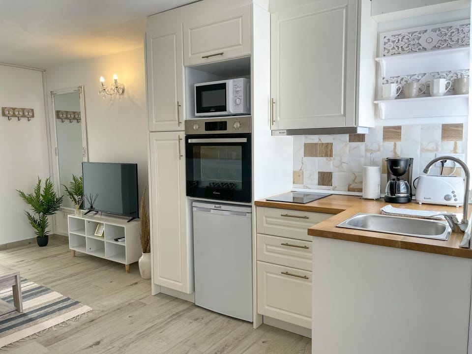 TV and multimedia, Coffee/tea facilities, Kitchen or kitchenette, minibar, pet friendly, stove, toaster