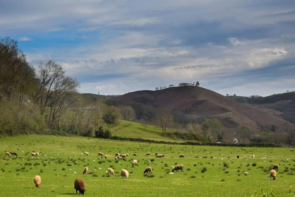 Natural landscape, Mountain view