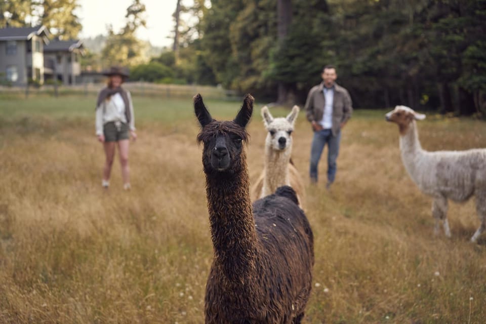 Animals