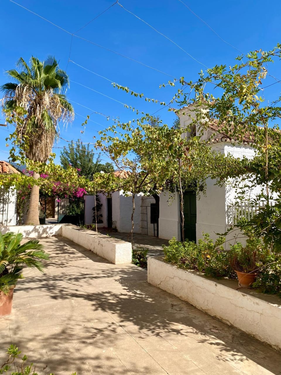 Garden view